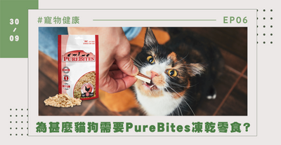為甚麼貓狗需要 PureBites 凍乾零食？